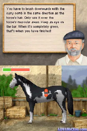 Your Riding School (Europe) (En,Fr,De,Es) screen shot game playing